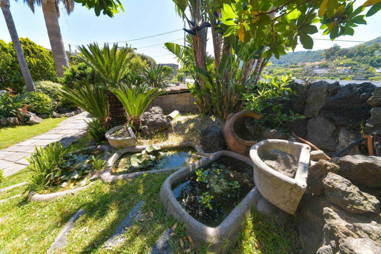 Villa Stefania Barano dʼIschia Eksteriør billede