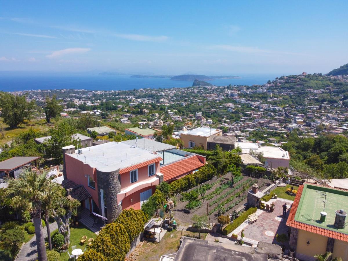 Villa Stefania Barano dʼIschia Eksteriør billede